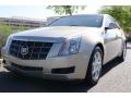 2008 CTS Sedan #14