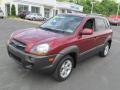 2009 Tucson SE V6 #5
