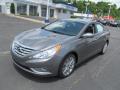 2013 Sonata SE #3 2013 Sonata SE #3