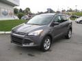 Front 3/4 View of 2013 Ford Escape SE 1.6L EcoBoost 4WD #2