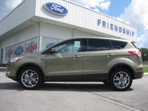 Ginger Ale Metallic Ford Escape SEL 1.6L EcoBoost 4WD.  Click to enlarge.