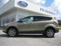 2013 Escape SEL 1.6L EcoBoost 4WD #1