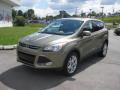 Front 3/4 View of 2013 Ford Escape SEL 1.6L EcoBoost 4WD #2