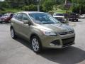 2013 Escape SEL 1.6L EcoBoost 4WD #4