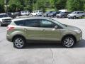  2013 Ford Escape Ginger Ale Metallic #5