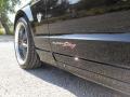 2009 Mustang GT Premium Coupe Superstang #13