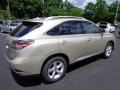 2013 RX 350 AWD #4