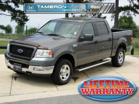 Dark Shadow Grey Metallic Ford F150 XLT SuperCrew 4x4.  Click to enlarge.