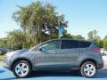  2013 Ford Escape Sterling Gray Metallic #2