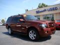 2007 Expedition Limited #2