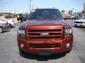  2007 Ford Expedition Dark Copper Metallic #3