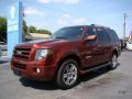 2007 Expedition Limited #4