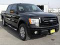 2009 F150 FX4 SuperCrew 4x4 #8