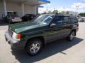1997 Grand Cherokee Laredo 4x4 #8 1997 Grand Cherokee Laredo 4x4 #8