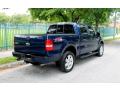  2007 Ford F150 Dark Blue Pearl Metallic #10