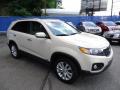 2011 Sorento EX AWD #7