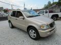 2003 ML 350 4Matic #1