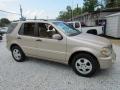 2003 ML 350 4Matic #2