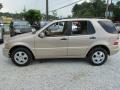  2003 Mercedes-Benz ML Desert Silver Metallic #9