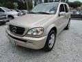 2003 ML 350 4Matic #11