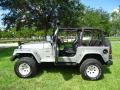  2000 Jeep Wrangler Silverstone Metallic #12