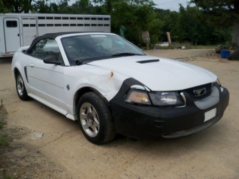 Crystal White Ford Mustang V6 Convertible.  Click to enlarge.