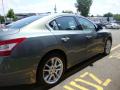 2010 Maxima 3.5 SV #6 2010 Maxima 3.5 SV #6