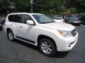 2012 GX 460 Premium #6
