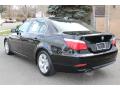 2008 5 Series 528i Sedan #7