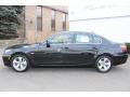 2008 5 Series 528i Sedan #8
