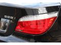 2008 5 Series 528i Sedan #21