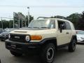 2010 FJ Cruiser Trail Teams Special Edition 4WD #3