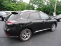 2013 RX 350 AWD #4