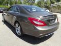 2013 CLS 550 Coupe #10