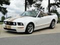 Front 3/4 View of 2006 Ford Mustang GT Premium Convertible #10 Front 3/4 View of 2006 Ford Mustang GT Premium Convertible #10