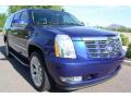 2010 Escalade ESV Luxury #5 2010 Escalade ESV Luxury #5
