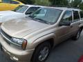 2006 TrailBlazer LS 4x4 #2 2006 TrailBlazer LS 4x4 #2
