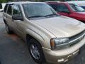 2006 TrailBlazer LS 4x4 #3 2006 TrailBlazer LS 4x4 #3