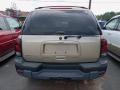 2006 TrailBlazer LS 4x4 #4 2006 TrailBlazer LS 4x4 #4