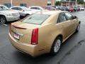 2013 CTS 3.0 Sedan #4