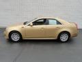  2013 Cadillac CTS Summer Gold Metallic #7