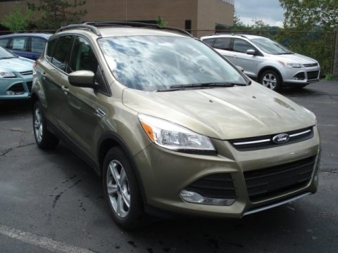 Ginger Ale Metallic Ford Escape SE 1.6L EcoBoost 4WD.  Click to enlarge.