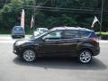  2013 Ford Escape Kodiak Brown Metallic #5