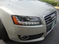 2010 A5 2.0T quattro Coupe #20