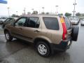 2003 Honda CR-V Mojave Mist Metallic #2 2003 Honda CR-V Mojave Mist Metallic #2