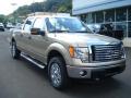 2012 F150 XLT SuperCrew 4x4 #2 2012 F150 XLT SuperCrew 4x4 #2