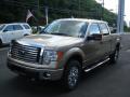 2012 F150 XLT SuperCrew 4x4 #4 2012 F150 XLT SuperCrew 4x4 #4