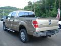 2012 F150 XLT SuperCrew 4x4 #6 2012 F150 XLT SuperCrew 4x4 #6