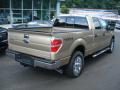 2012 F150 XLT SuperCrew 4x4 #8 2012 F150 XLT SuperCrew 4x4 #8