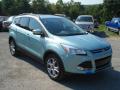 Front 3/4 View of 2013 Ford Escape SEL 1.6L EcoBoost 4WD #2 Front 3/4 View of 2013 Ford Escape SEL 1.6L EcoBoost 4WD #2